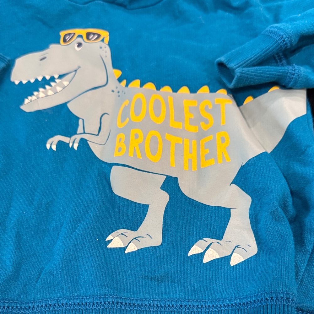 Carters Coolest Brother Blue Dinosaur Hoodie - Picture 2 of 6